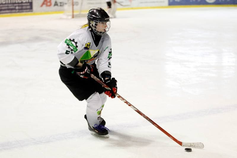 Ice Hockey. PLHK. Naprzod Janow - Kozice Poznan. 11.02.2018