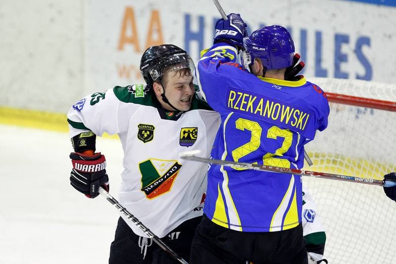 Ice Hockey. Polska Hokej Liga. Naprzod Janow - Orlik Opole. 01.03.2019