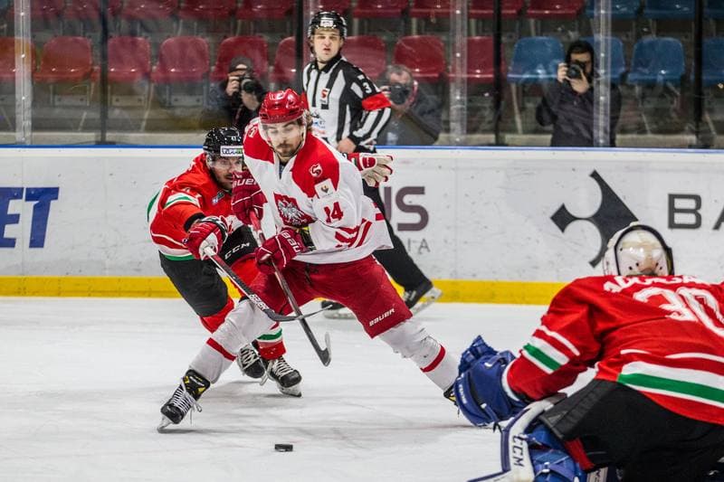 Ice Hockey. EIHC Christmas Cup. Poland - Hungary. 17.12.2021