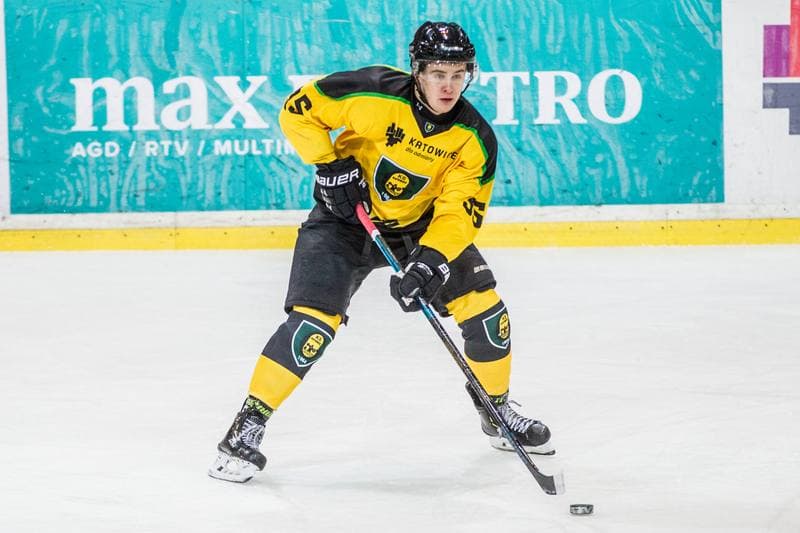Ice Hockey. PHL. GKS Katowice - Naprzod Janow. 01.12.2019