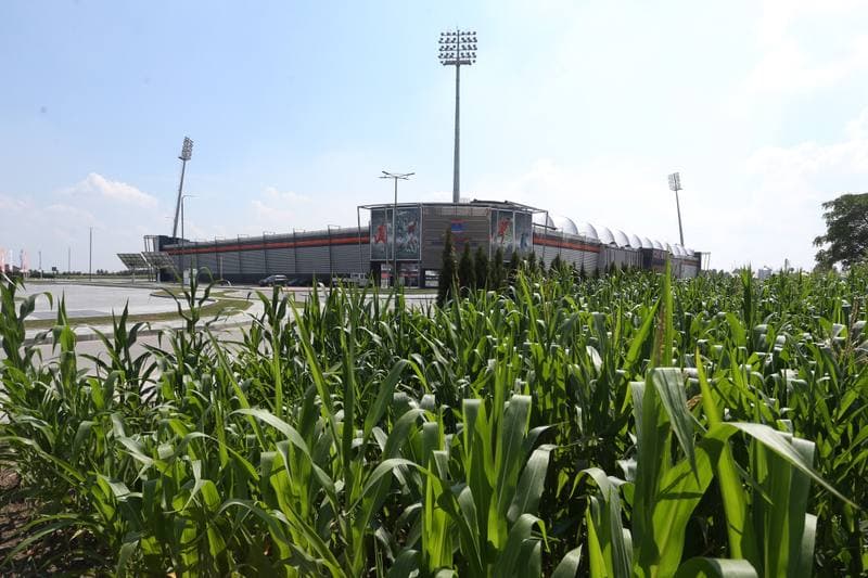 Football. Bruk-Bet Termalica Nieciecza. Training. 27.07.2016