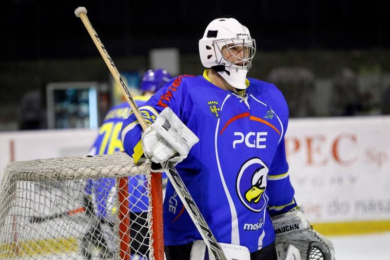 Ice Hockey. Polska Hokej Liga. GKS Tychy - Orlik Opole. 13.01.2017