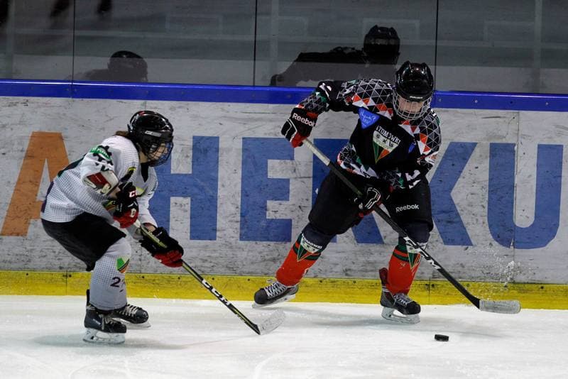 Ice Hockey. PLHK. Naprzod Janow - Atomowki Tychy. 03.02.2018