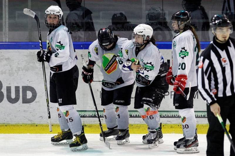 Ice Hockey. PLHK. Naprzod Janow - Atomowki Tychy. 03.02.2018