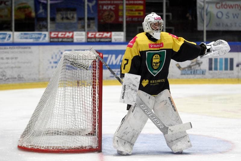 Ice Hockey. Polska Hokej Liga. Unia Oswiecim - Tauron KH GKS Katowice. 24.02.2019