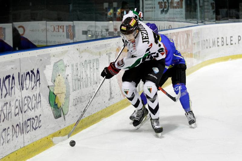 Ice Hockey. Polska Hokej Liga. GKS Tychy - Orlik Opole. 13.01.2017