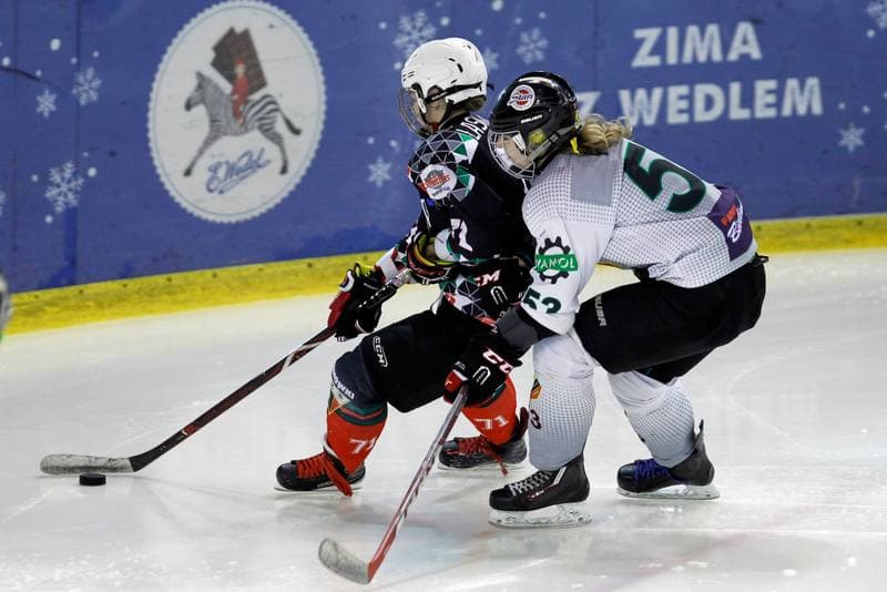 Ice Hockey. PLHK. Naprzod Janow - Atomowki Tychy. 03.02.2018