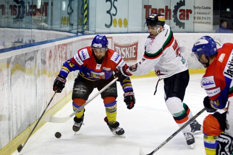 Ice Hockey. Polska Hokej Liga. GKS Tychy - Podhale Nowy Targ. 29.01.2016