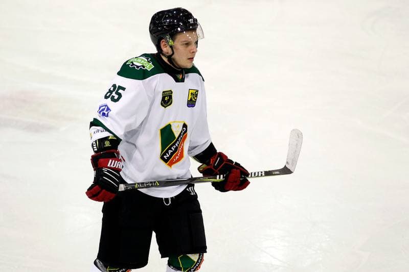 Ice Hockey. Polska Hokej Liga. Anteo Naprzod Janow - JKH GKS Jastrzebie. 03.12.2017