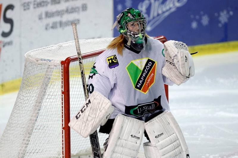 Ice Hockey. PLHK. Naprzod Janow - Atomowki Tychy. 03.02.2018