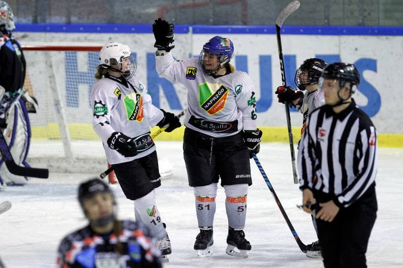 Ice Hockey. PLHK. Naprzod Janow - Atomowki Tychy. 03.02.2018