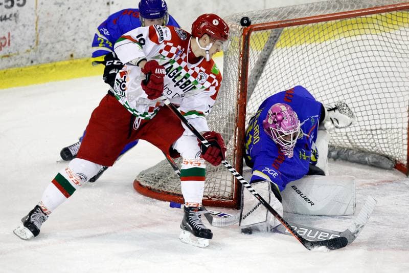 Ice Hockey. Polska Hokej Liga. Zaglebie Sosnowiec - PGE Orlik Opole. 04.12.2018