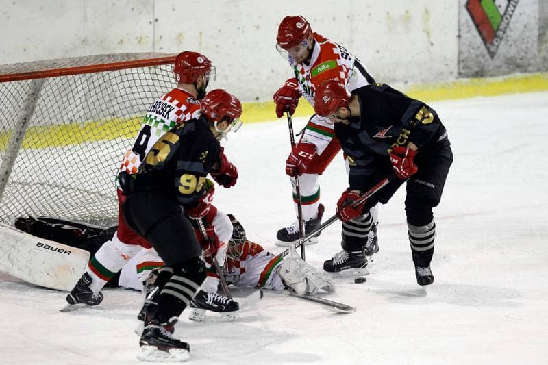 Ice Hockey. Polska Hokej Liga. Zaglebie Sosnowiec - Comarch Cracovia. 22.01.2019
