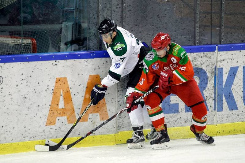 Ice Hockey. Polska Hokej Liga. Naprzod Janow - Zaglebie Sosnowiec. 23.02.2019