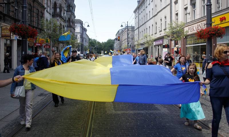 March of the Silesian Autonomy Movement. Katowice. 11.07.2015