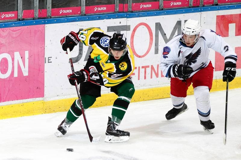 Ice Hockey. Polska Hokej Liga. SMS PZHL Katowice - JKH GKS Jastrzebie. 31.10.2017