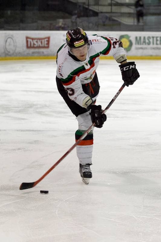 Ice Hockey. Polska Hokej Liga. GKS Tychy - Podhale Nowy Targ. 29.01.2016