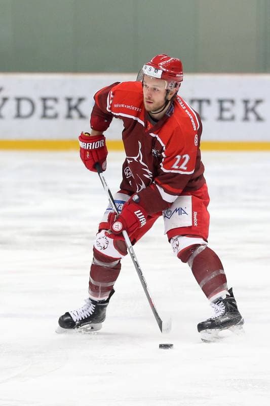 Ice Hockey. WSM Liga. HC Frydek-Mistek - HC Benatky nad Jizerou. 20.02.2017