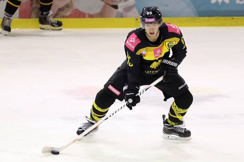 Ice Hockey. Polska Hokej Liga. Naprzod Janow - Tauron KH GKS Katowice. 24.09.2017