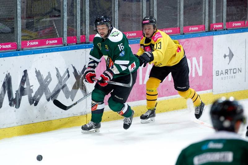 Ice Hockey. Tauron Hokej Liga. Tauron KH GKS Katowice - Anteo Naprzod Janow. 03.11.2017