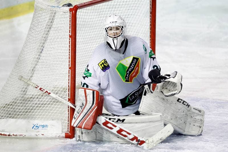 Ice Hockey. PLHK. Naprzod Janow - Unia Oswiecim. 20.01.2018