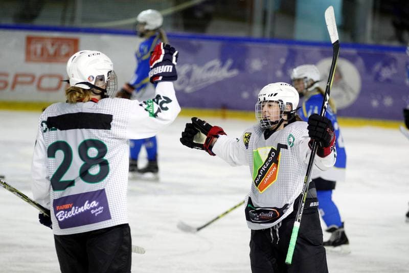 Ice Hockey. PLHK. Naprzod Janow - Unia Oswiecim. 20.01.2018