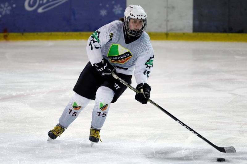 Ice Hockey. PLHK. Naprzod Janow - Atomowki Tychy. 03.02.2018