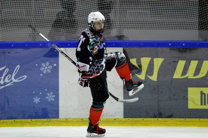 Ice Hockey. PLHK. Naprzod Janow - Atomowki Tychy. 03.02.2018