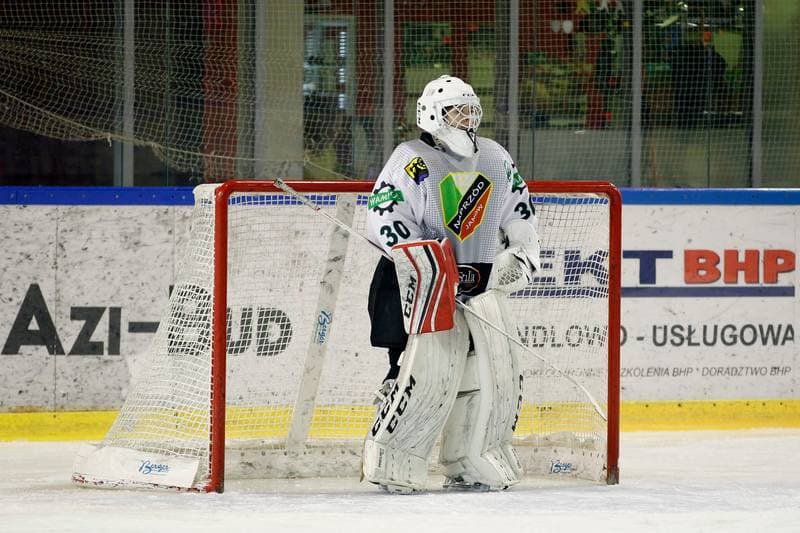 Ice Hockey. PLHK. Naprzod Janow - Kozice Poznan. 11.02.2018