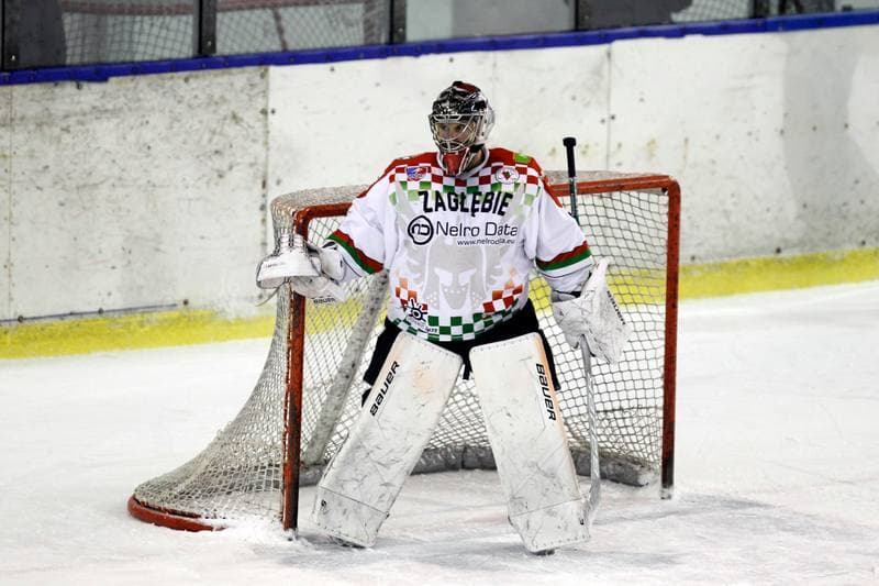 Ice Hockey. Polska Hokej Liga. Zaglebie Sosnowiec - Comarch Cracovia. 22.01.2019