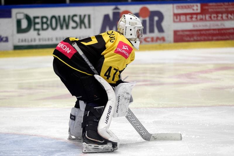 Ice Hockey. Polska Hokej Liga. Unia Oswiecim - Tauron KH GKS Katowice. 24.02.2019