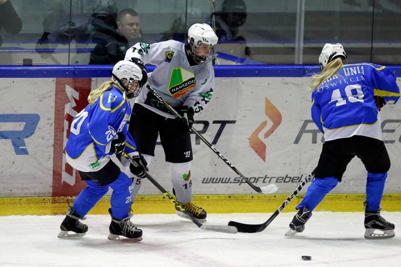 Ice Hockey. PLHK. Naprzod Janow - Unia Oswiecim. 20.01.2018