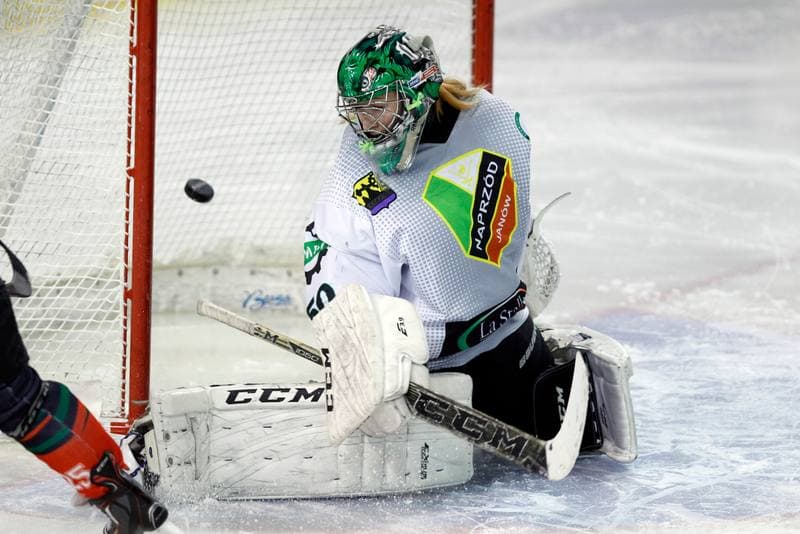 Ice Hockey. PLHK. Naprzod Janow - Atomowki Tychy. 03.02.2018