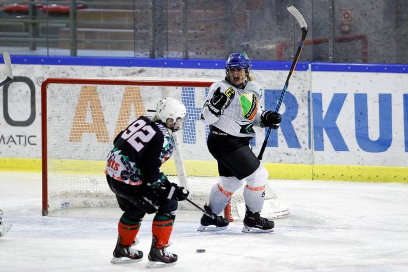 Ice Hockey. PLHK. Naprzod Janow - Atomowki Tychy. 03.02.2018