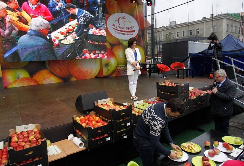 Apple Festival. Katowice. 26.09.2015