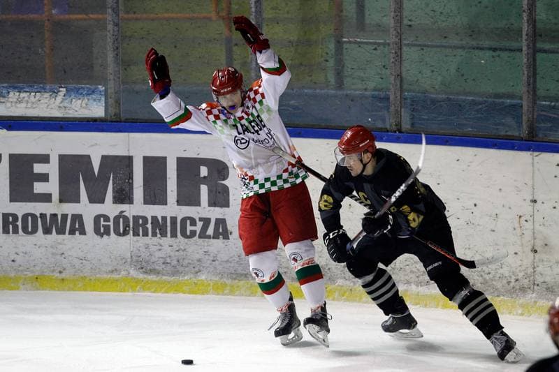 Ice Hockey. Polska Hokej Liga. Zaglebie Sosnowiec - Comarch Cracovia. 22.01.2019