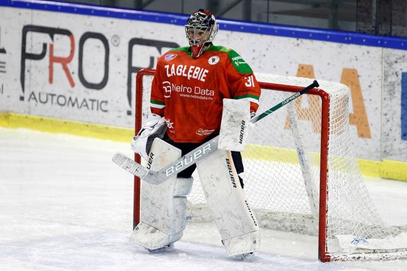 Ice Hockey. Polska Hokej Liga. Naprzod Janow - Zaglebie Sosnowiec. 23.02.2019
