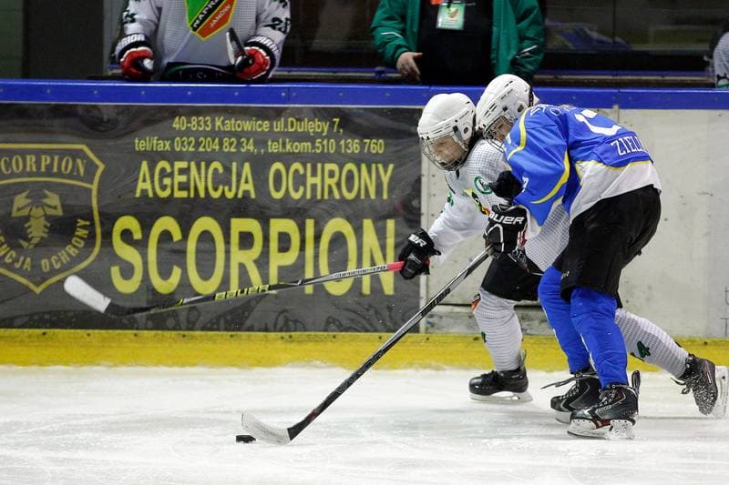 Ice Hockey. PLHK. Naprzod Janow - Unia Oswiecim. 20.01.2018