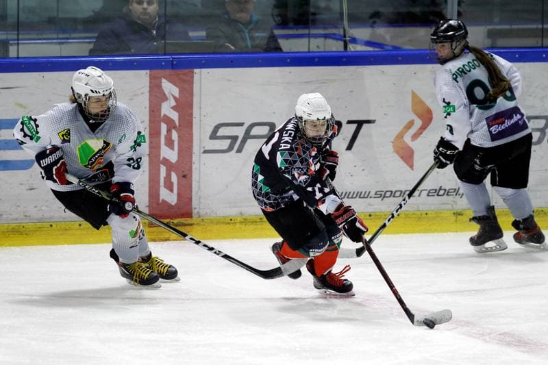 Ice Hockey. PLHK. Naprzod Janow - Atomowki Tychy. 03.02.2018