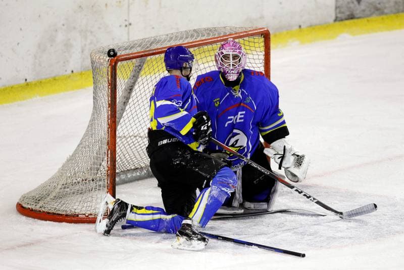 Ice Hockey. Polska Hokej Liga. Zaglebie Sosnowiec - PGE Orlik Opole. 04.12.2018