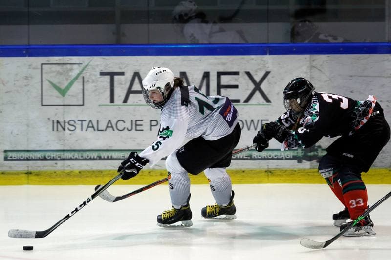 Ice Hockey. PLHK. Naprzod Janow - Atomowki Tychy. 03.02.2018