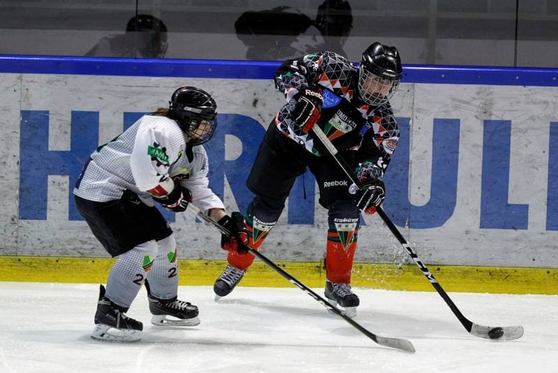 Ice Hockey. PLHK. Naprzod Janow - Atomowki Tychy. 03.02.2018