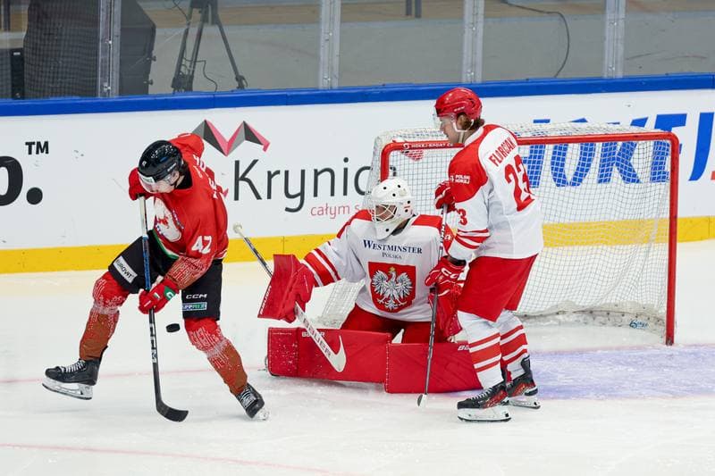Ice Hockey. Friendly Match. Poland - Hungary. 13.04.2024