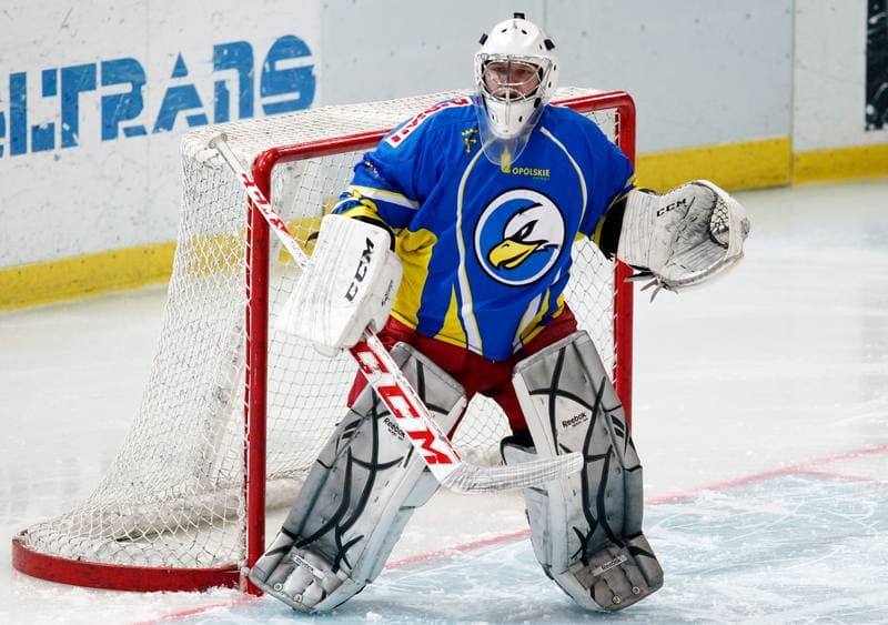 Ice Hockey. Polska Hokej Liga. HC GKS Katowice - Orlik Opole. 27.01.2015