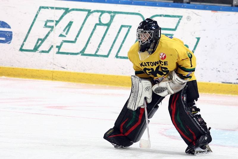 Ice Hockey. Polska Hokej Liga. HC GKS Katowice - Orlik Opole. 27.01.2015