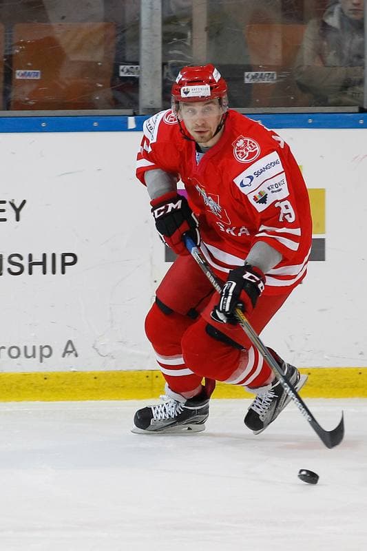 Ice Hockey. EIHC. Poland - France. 19.12.2015