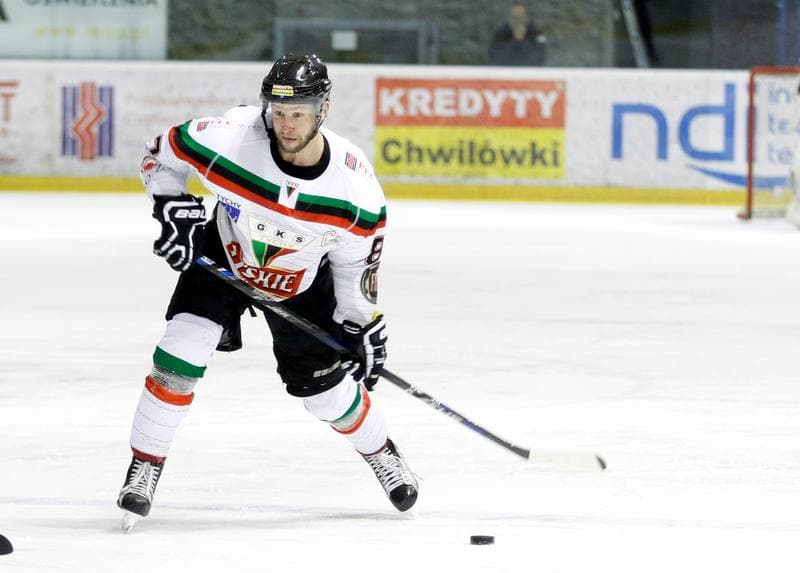 Ice Hockey. Tauron Hokej Liga. GKS Tychy - Polonia Bytom. 19.02.2016