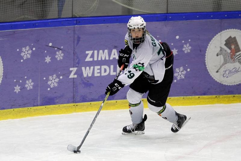Ice Hockey. PLHK. Naprzod Janow - Unia Oswiecim. 20.01.2018