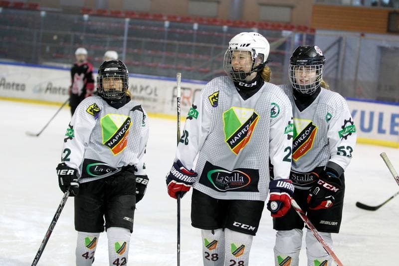 Ice Hockey. PLHK. Naprzod Janow - Kozice Poznan. 11.02.2018
