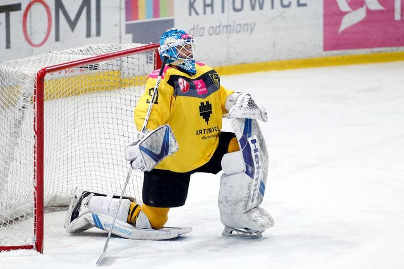Ice Hockey. Polska Hokej Liga. Tauron KH GKS Katowice - PGE Orlik Opole. 25.02.2018
